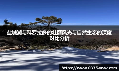 盐城湖与科罗拉多的壮丽风光与自然生态的深度对比分析
